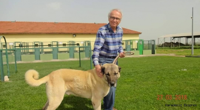 ÖNEMLİ BİR GEN KAYNAĞI, KANGAL KÖPEĞİ