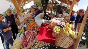 Ordu Kabakdağ Doğal Pazarı, tezgahlarını tekrar açtı