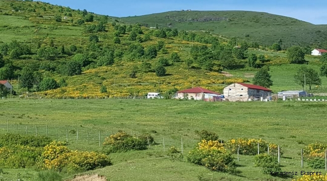 TÜRK TARIMINDA YAPISAL BOZULMA 