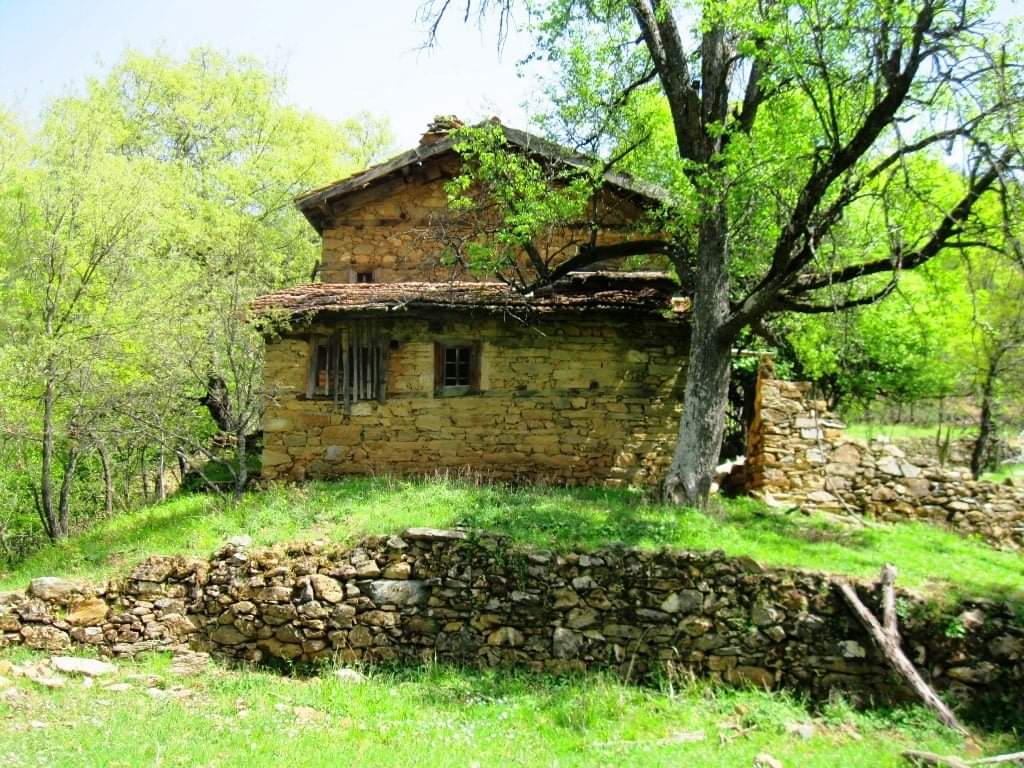 Bir tohumla başlayan bağımsızlık türküsü… 