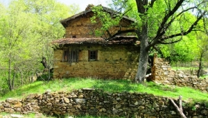 Bir tohumla başlayan bağımsızlık türküsü… 