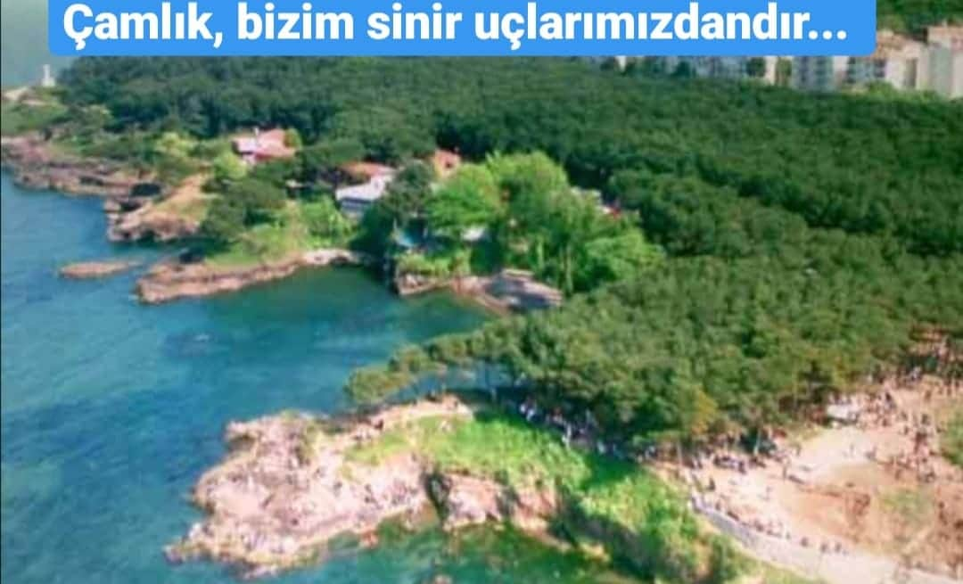 ÇAMLIK BİZİM SİNİR UÇLARIMIZDANDIR... 