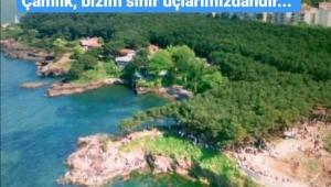 ÇAMLIK BİZİM SİNİR UÇLARIMIZDANDIR... 