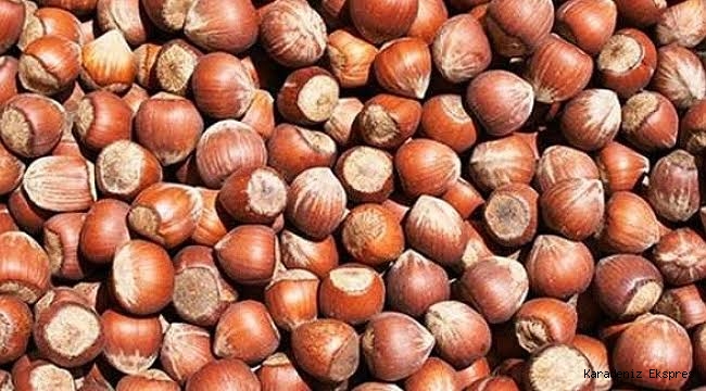 FINDIK FİYATI NE OLUR?