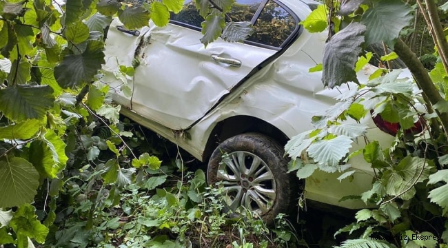 Ordu'nun Çamaş ilçesinde otomobil fındık bahçesine uçtu