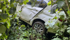 Ordu'nun Çamaş ilçesinde otomobil fındık bahçesine uçtu