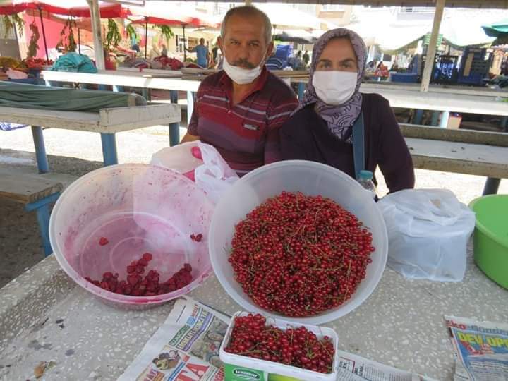 ORDU PERŞEMBE'DE YENİ BİR GELİR KAPISI... 