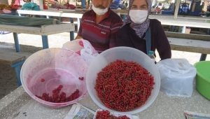 ORDU PERŞEMBE'DE YENİ BİR GELİR KAPISI... 