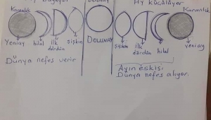 TOPRAKLA İLGILENEN HERKES BU ŞEMAYA UYSUN ,LUTFEN ! 