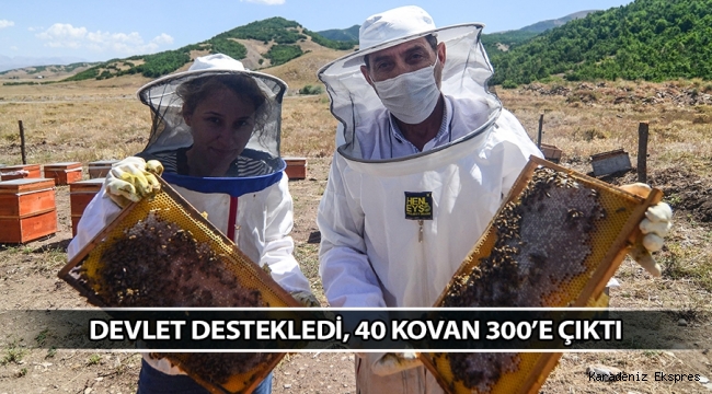 Devlet destekledi, 40 kovan 300’e çıktı