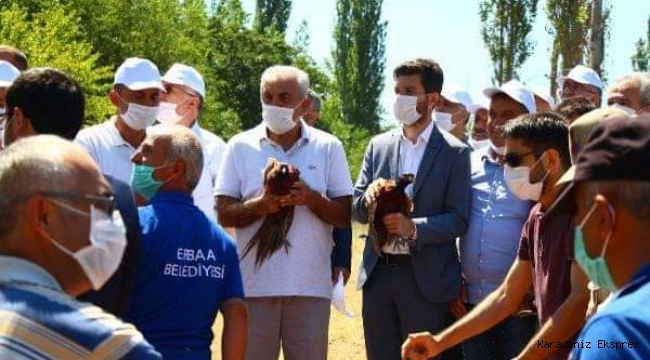 Erbaa'da keklik ve sülünler doğaya bırakıldı