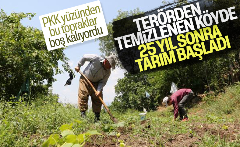 Hakkari'de terörden temizlenen bölgelerde tarım başladı 