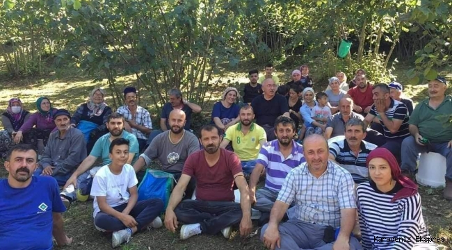 MAHALLELİLER HASTANEDE YATAN KOMŞULARININ FINDIĞINI TOPLADI