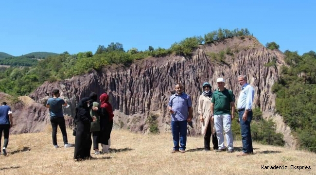 NİKSAR GÖKÇELİ
