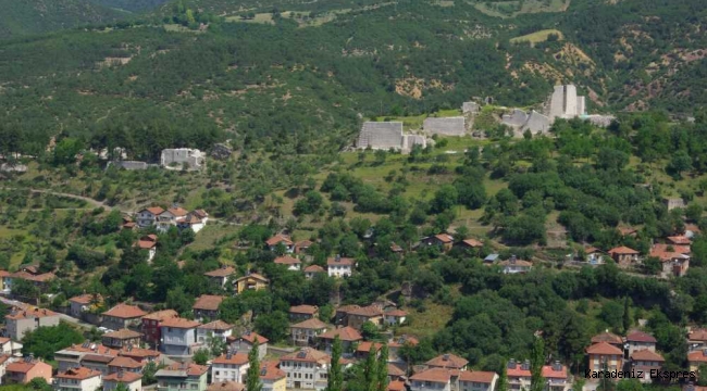 Niksar Kalesi'nin Tarihi ...
