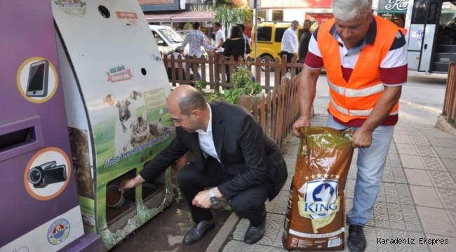 Terme'de sokak hayvanları unutulmuyor