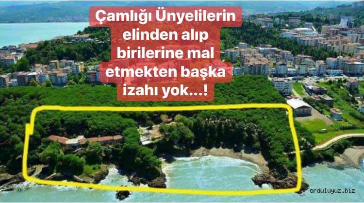 Ünye de 'Çamlık projesi' ile ilgili basın açıklaması..