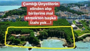 Ünye de 'Çamlık projesi' ile ilgili basın açıklaması..