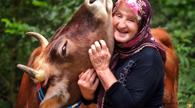 Yaşlı insanları zorlamayın, onlar beceri öğrenerek bir ömür harcadılar