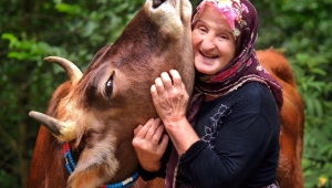 Yaşlı insanları zorlamayın, onlar beceri öğrenerek bir ömür harcadılar