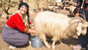 Yüksekova'da mutlu bir köy öğretmeni: Alime Taşcı