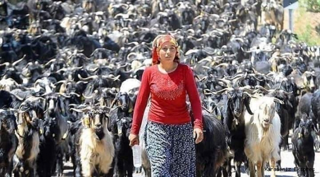 Kuaförden çıkmayan kadınlar yüzünden, saçını süpürge eden kadınları harcadınız... :)