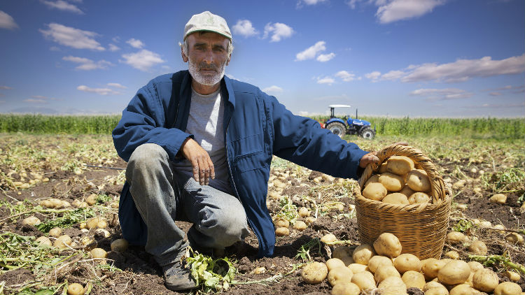 Kentsel Dönüşümden “Kırsal” Dönüşüme