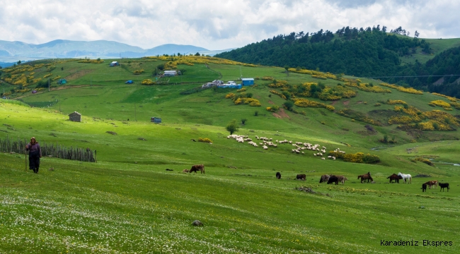 Köyümde yaşamak için bir SÜRÜ nedenim var 