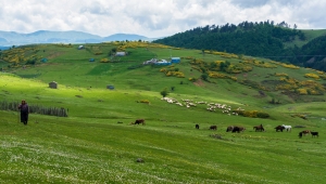 Köyümde yaşamak için bir SÜRÜ nedenim var 