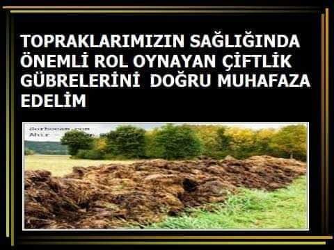 MÜKEMMEL HAYVAN GÜBRESİ YAPMANIN TEMELİ ALTLIKTAN GEÇER