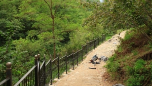 ORDU BÜYÜKŞEHİR BELEDİYESİN’DEN TURİZME DESTEK