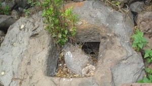  ORDU MESUDİYE’DE TARİH ÖNCESİ ÇAĞLARDAN KALMA DOLMEN MEZARLAR BULUNDU