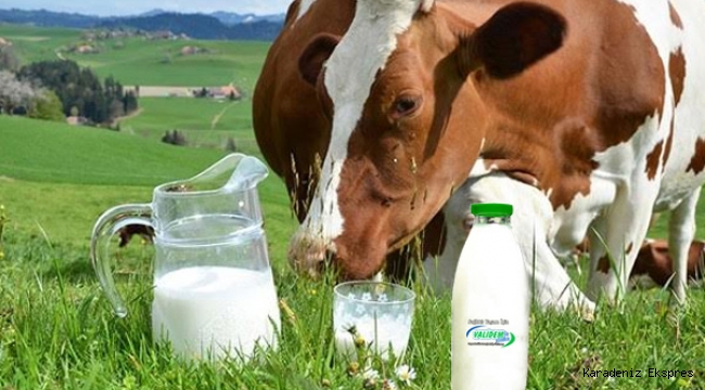 Süt kazanı kaynamaya devam ediyor kim kaybedecek?