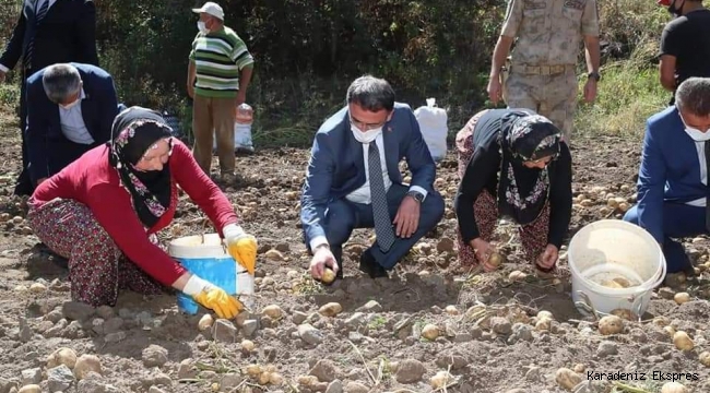 Tokat valisi Ozan Balcı Başçiftlik'te incelemelerde bulundu