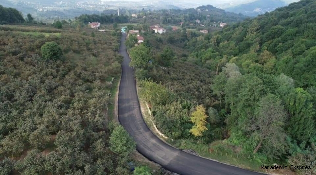 Türkiye'nin kırsal yol ağı en uzun il olan Ordu'da asfalt seferberliği sürüyor