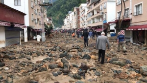 Türkiye Ormancılar Derneği, Giresun sel felaketi raporunu açıkladı