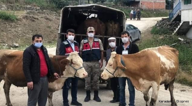 ÜMİTLERİNİ KESMİŞKEN HAYVANLARINA KAVUŞTULAR