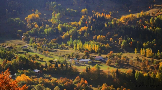 Artvin'den Muhteşem Sonbahar Fotoğrafları