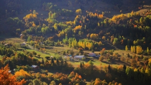 Artvin'den Muhteşem Sonbahar Fotoğrafları