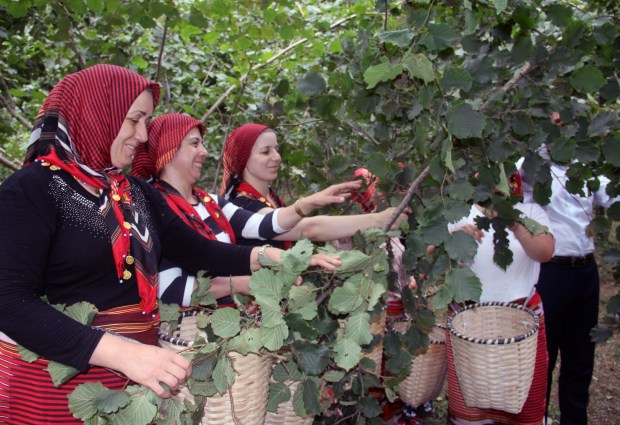 Başkan Güler, fındık sektöründe en önemli soruna çözüm getirecek bir projeye imza atıyor