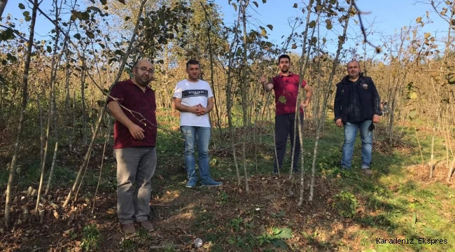 Fındıkta Örnek Uygulama Timleri Sahada Projesi