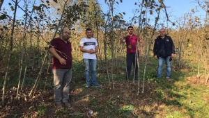 Fındıkta Örnek Uygulama Timleri Sahada Projesi