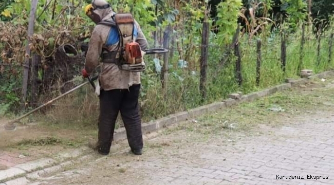 GÜLYALI’DA TEMİZLİK HAREKÂTI