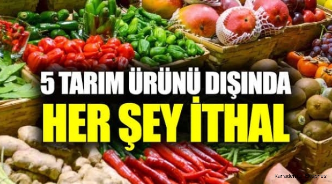 İTHALATÇI PARA KAZANIYOR YERLİ ÜRETİCİ TÜKENİYOR