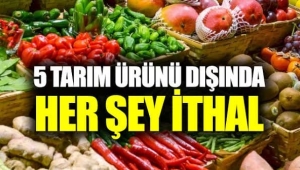 İTHALATÇI PARA KAZANIYOR YERLİ ÜRETİCİ TÜKENİYOR