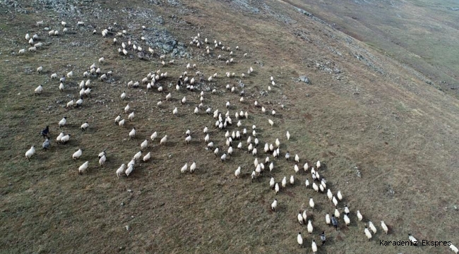 Karadeniz yaylalarından dönüş vakti