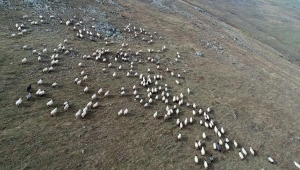 Karadeniz yaylalarından dönüş vakti