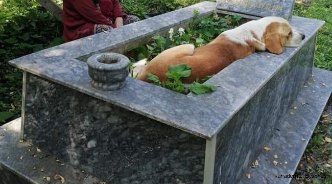 Köpük sahibini unutamıyor 