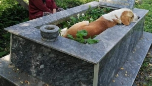 Köpük sahibini unutamıyor 