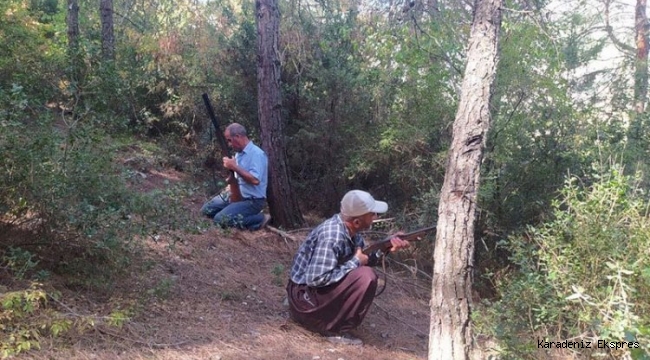 Köylüler tüfeklerini kuşandı... PKK'ya karşı orman nöbeti
